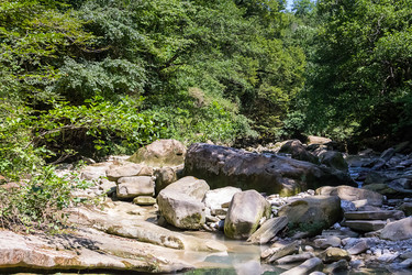 Similar image 17247652