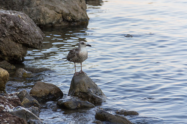 Similar image 17247701