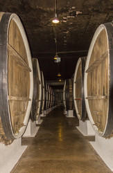 Similar image 17247719