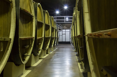 Similar image 17247720