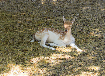 Similar image 17247740