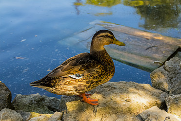 Similar image 17247741