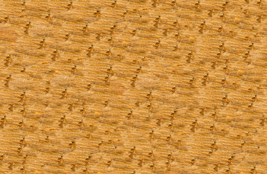 Similar image 16979890