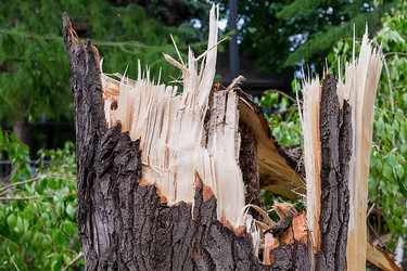 Similar image 16980676