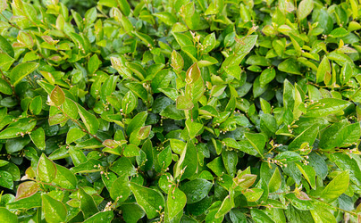 Similar image 17247655