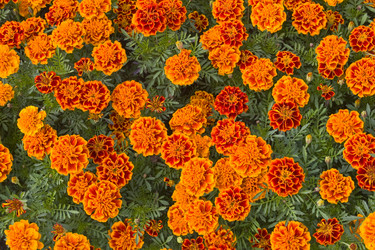 Similar image 17238544