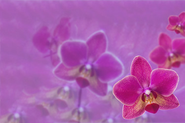 Similar image 17238671