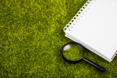 Similar image 17238659