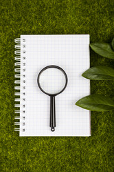 Similar image 17238666