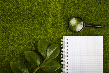 Similar image 17238668