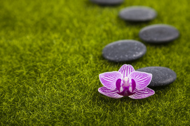 Similar image 17238669