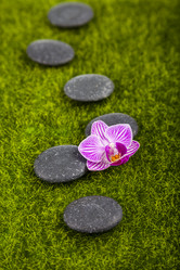 Similar image 17238673