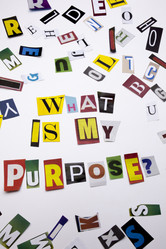 Similar image 16927466