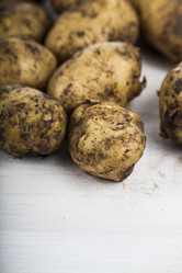 Similar image 17238174