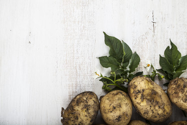 Similar image 17238176