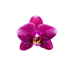 Similar image 17238187