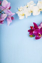 Similar image 17238199