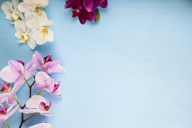 Similar image 17238201