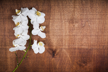 Similar image 17238202