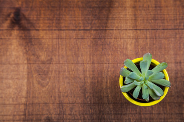 Similar image 17238360