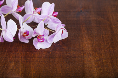 Similar image 17238362