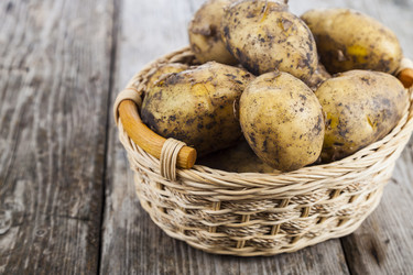 Similar image 17238553