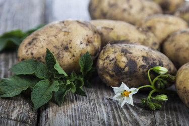 Similar image 17238570