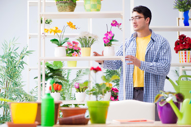 Similar image 17240638