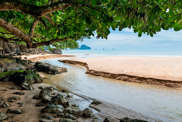 Similar image 16924361