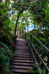 Similar image 16924376