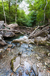 Similar image 16861760