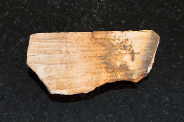 Similar image 16751891