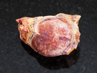 Similar image 16751966