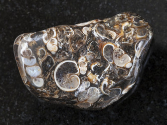 Similar image 17241891