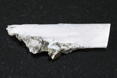 Similar image 17241750