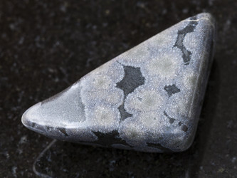 Similar image 16926484