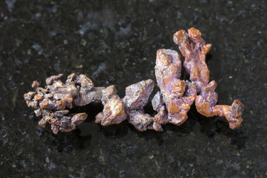 Similar image 16926323