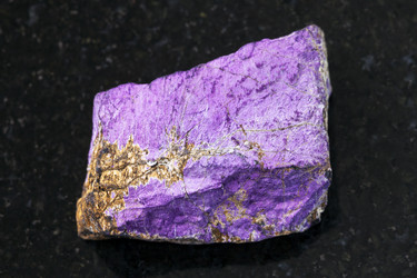 Similar image 17241844