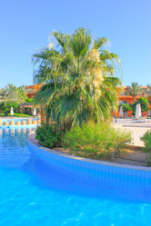 Similar image 16933249