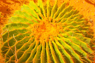 Similar image 16933251