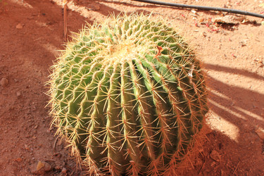 Similar image 16933252