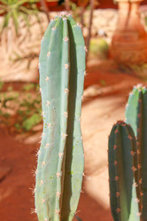 Similar image 16933253