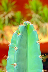 Similar image 16933254