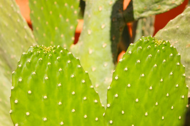 Similar image 16933268