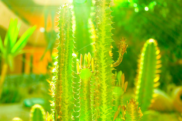 Similar image 16933270