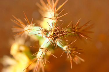 Similar image 16933272