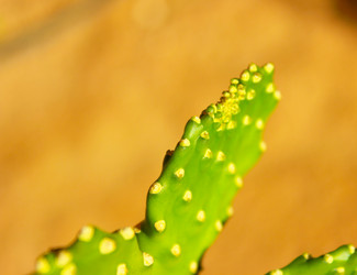 Similar image 16933274