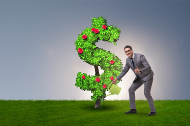 Similar image 17240575