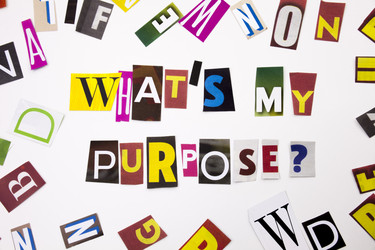 Similar image 16926034