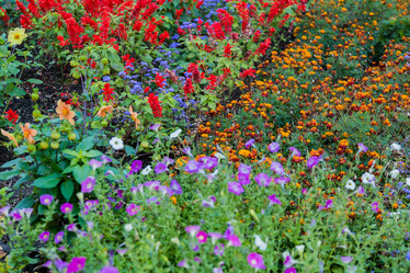 Similar image 16925287